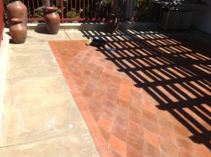 strip and cleaned paver patio